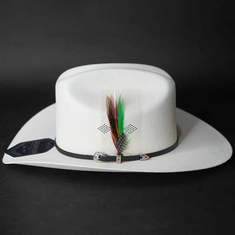 White Straw Cowboy Hat